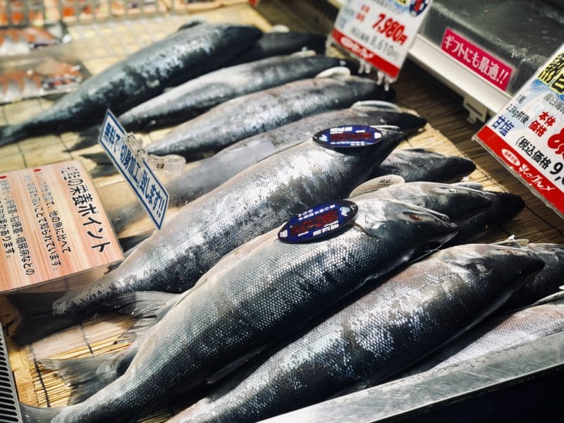 札幌場外市場 北海道中の海鮮と青果物が集う 食とお土産のメッカ ひきこもりが旅に出てみた